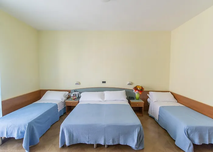 Hotel International